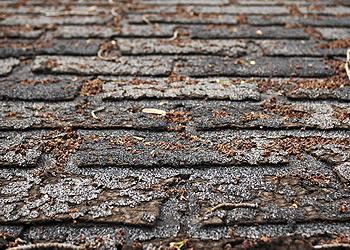 Duncan Roofs Images